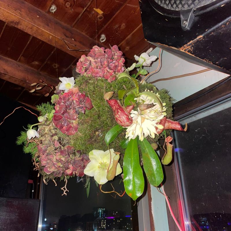 jungle flowers tropical arrangement