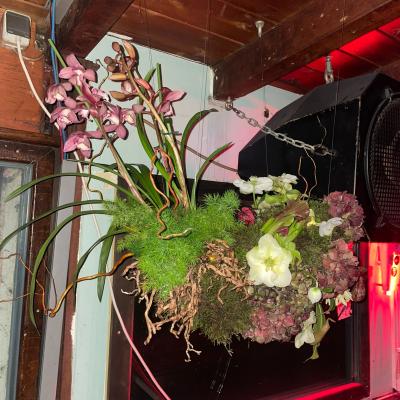 jungle flowers tropical arrangement