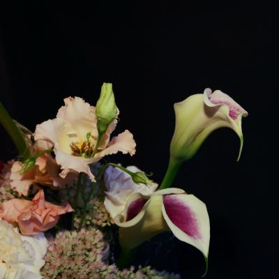 Close eup floral shot